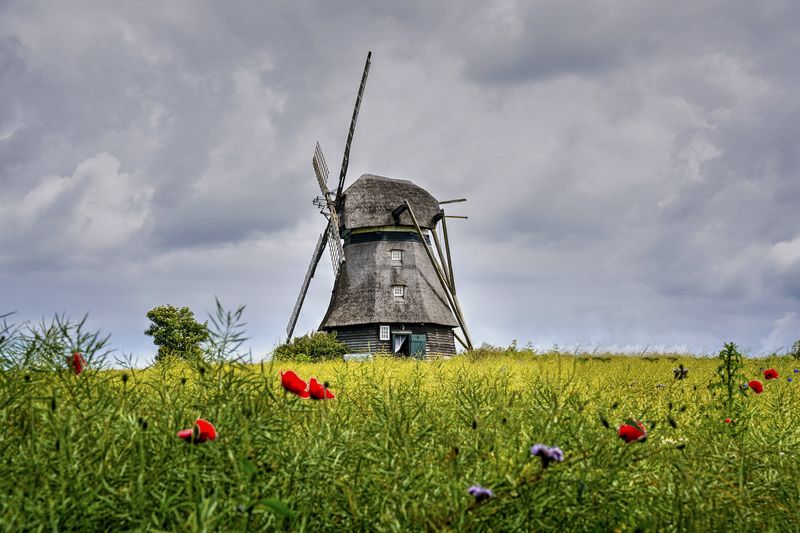 Farver Windmill 