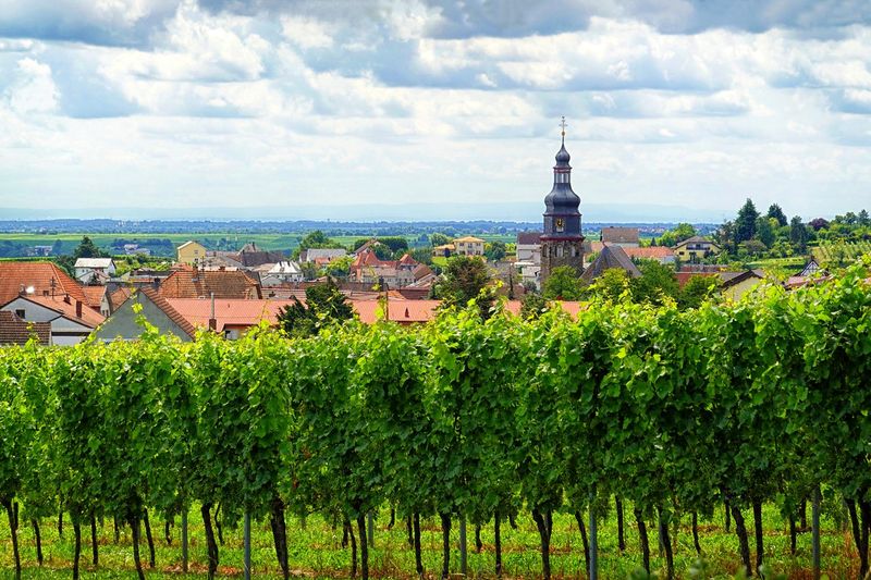  Wine Village 