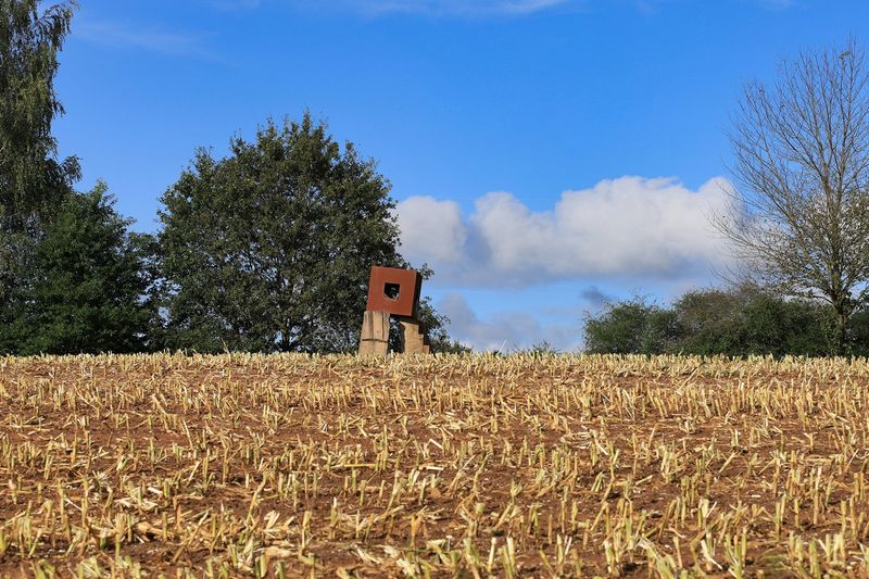 The Corn Harvest Started