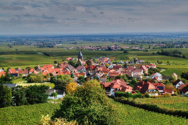 The German Wine Road during the Seasons