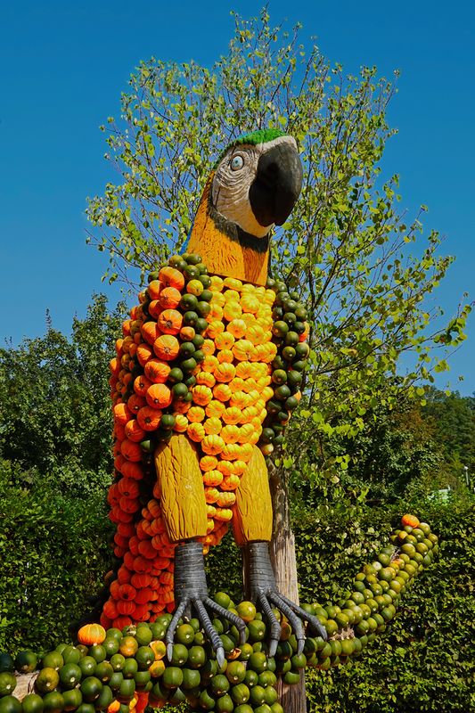 Parrot 