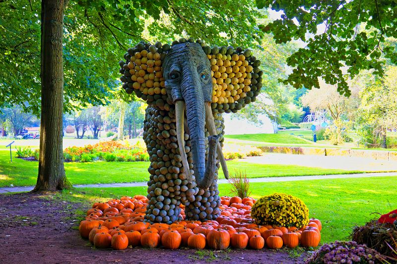 Elephant
