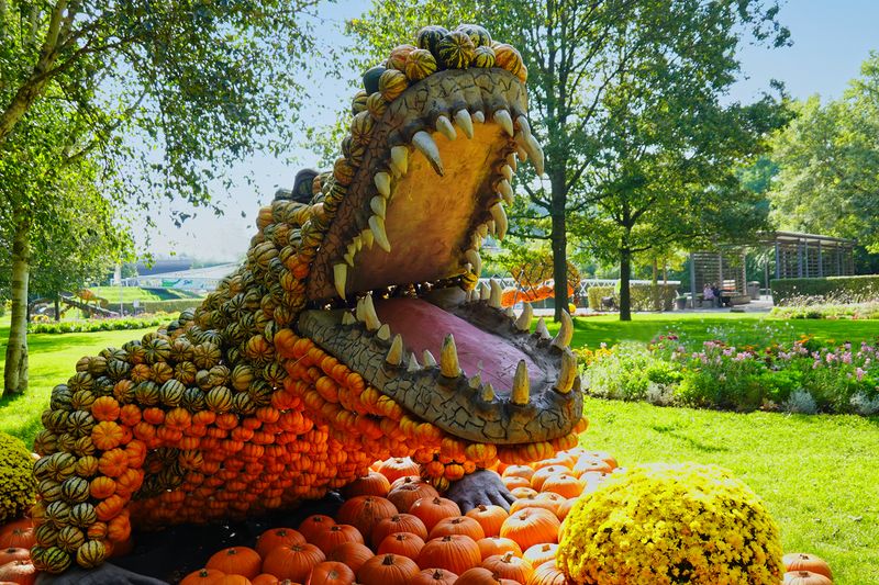 Gator