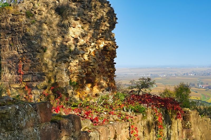 Castle Wall