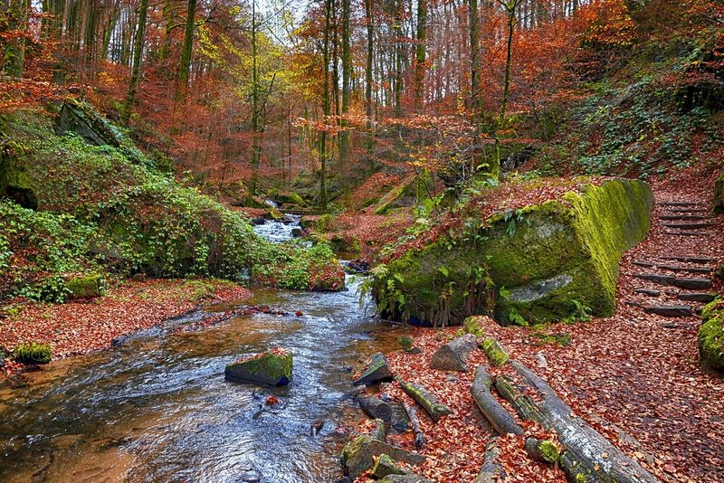 Steps along the Rough Terrain