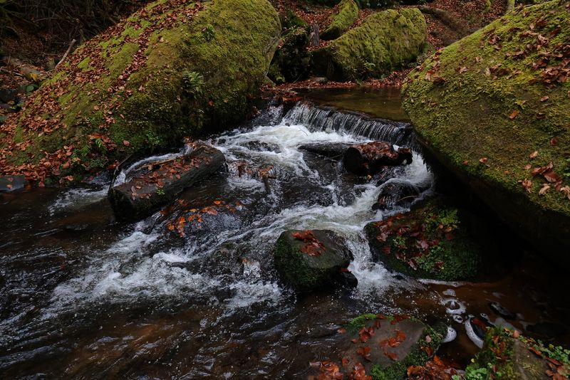 Karlstal Moosalb Stream
