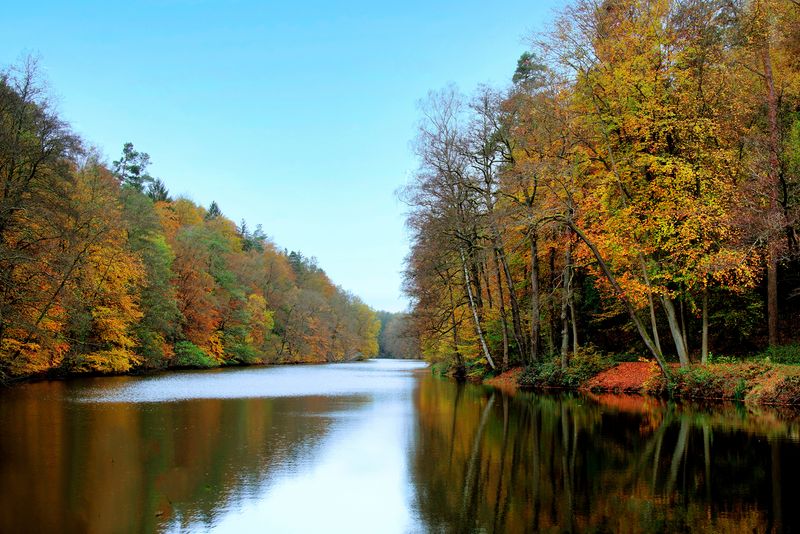 Autumn 2024