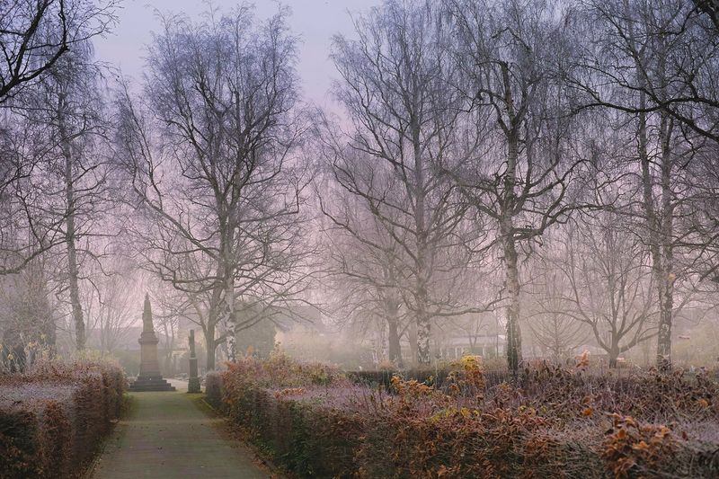 Cemetary on a Foggy Icy Day