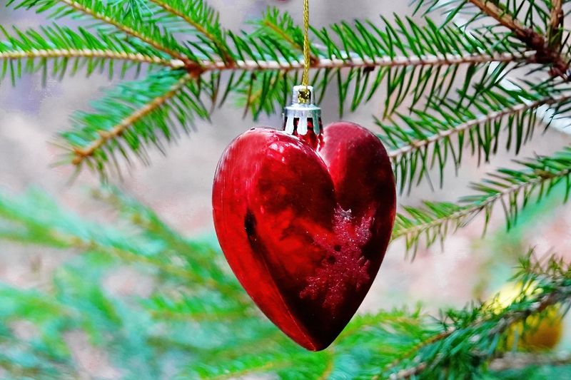 Christmas Ornament in the Tree