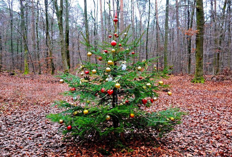 Christmas Time