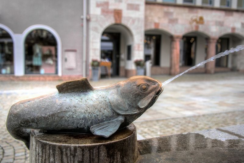 Fountain Fish