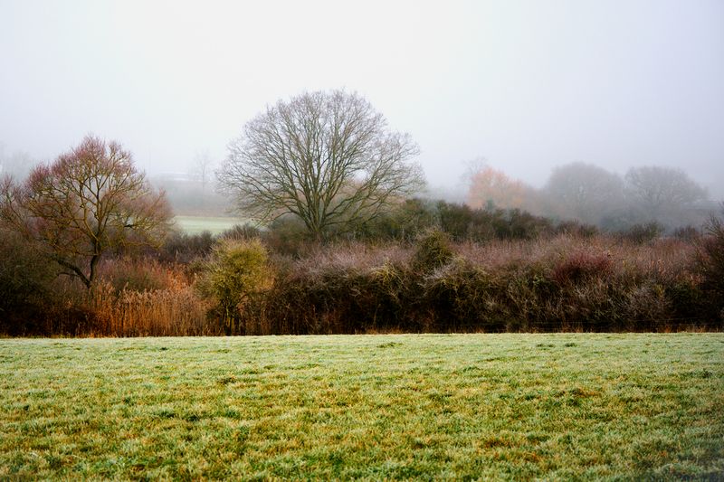 Fog in the Valley