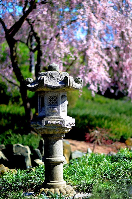 Japanese Garden