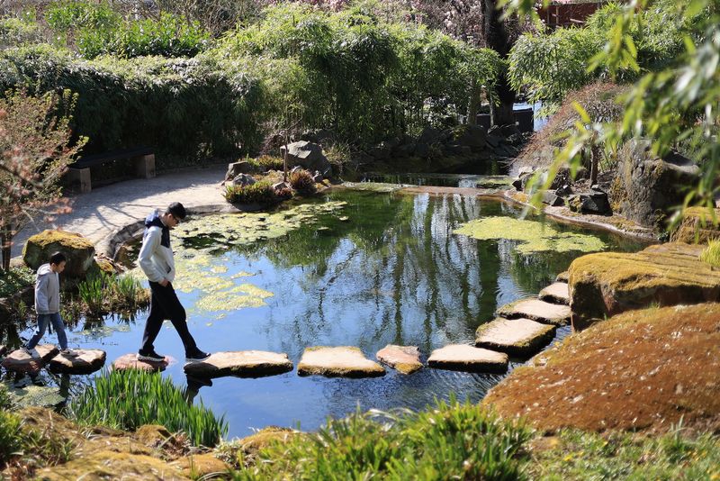 Pond Crossing