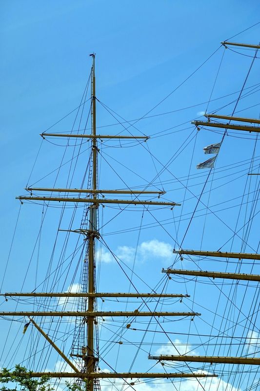 Sails high 