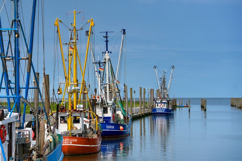 Wurster North Sea Coast