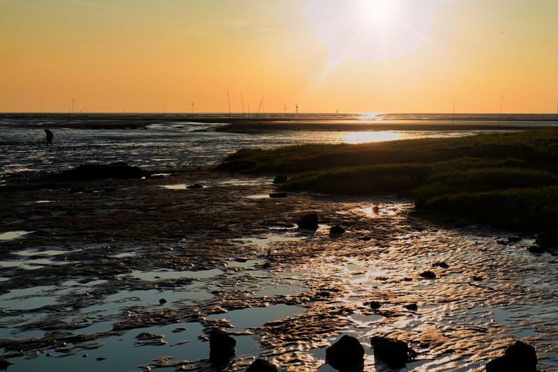 Sundown at Low Tide