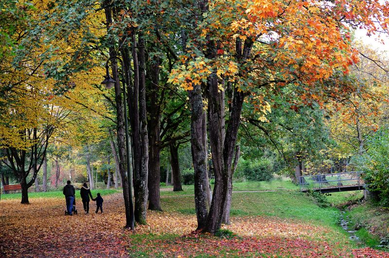 Autumn 2025