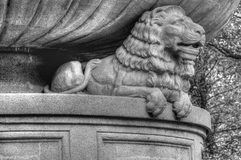 Guarding the Cemetary