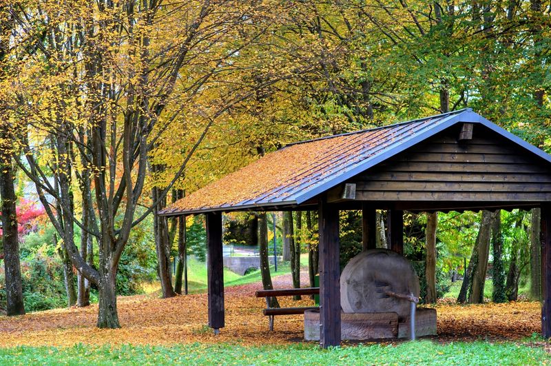 Millstone at the Park.jpg