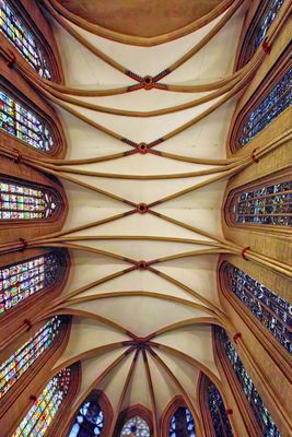 Ceiling of the Cathedral