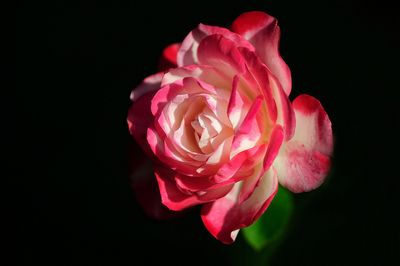 g13/80/968480/3/173911302.c5aafca7.JPEG