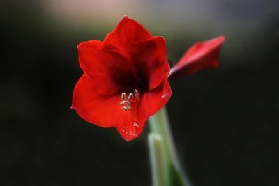 g13/80/968480/3/174334534.d38b6a8b.JPEG