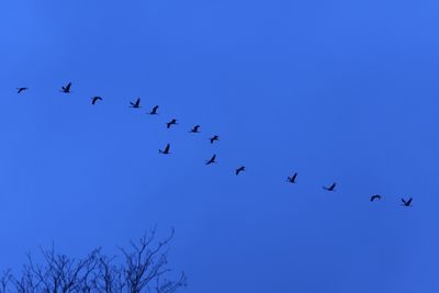 g13/80/968480/3/174372461.6d483c6c.JPEG