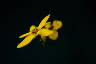 g13/80/968480/3/174765796.4b9dc561.JPEG