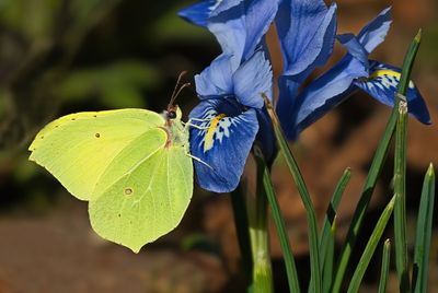 Featured Gallery