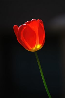 g13/80/968480/3/175417646.b0e3012e.JPEG