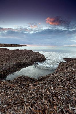 Eyre Pennisula South Australia