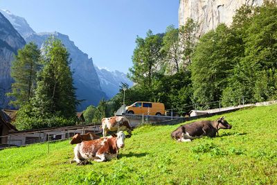 Lauterbrunnen