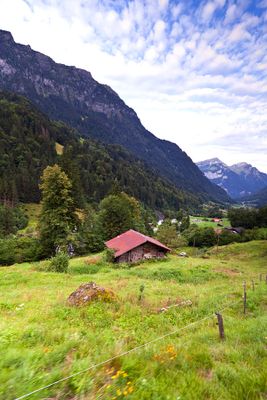 Train to Grindelwald