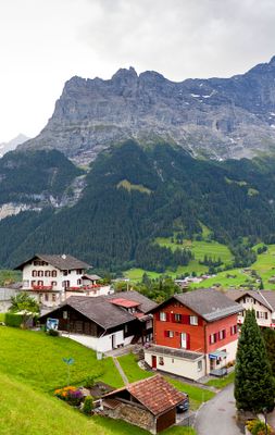 Train to Grindelwald