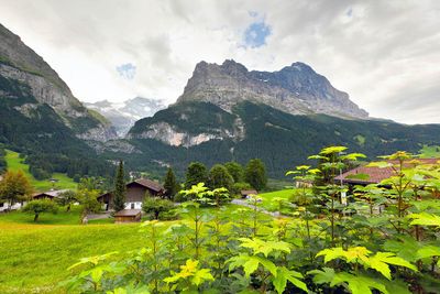 Grindelwald