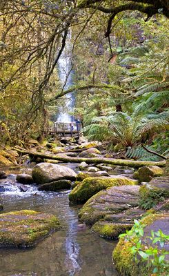 Landscapes/Seascapes