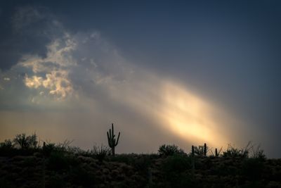 Sky Break