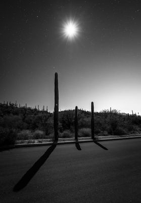 Three Wise Men on the Road to Sabino Canyon