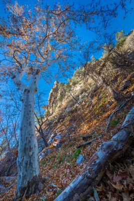 Climb