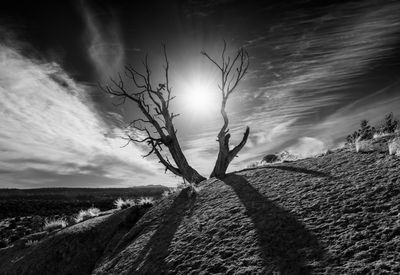 Witness of Ages