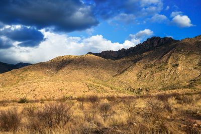 Desert Layers