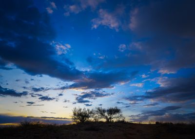Into Sunset