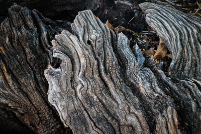 Marks of Time