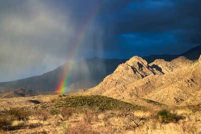 Rains Blessing the Desert