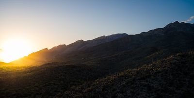 Desert Enchantment