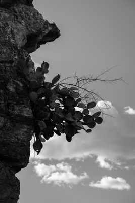 Hanging On