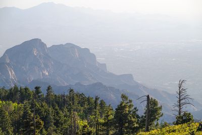 View from the Heights