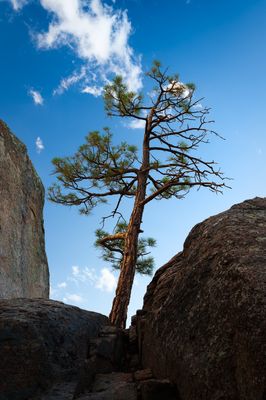 Between a Rock and a Hard Place