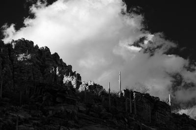 Sabino Canyon Welcoming Committee